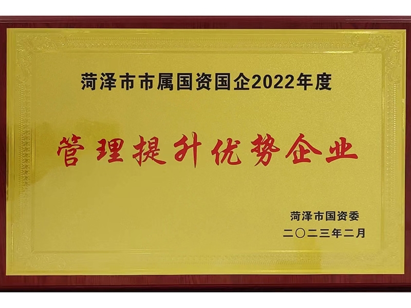 管理提升優(yōu)勢企業(yè)